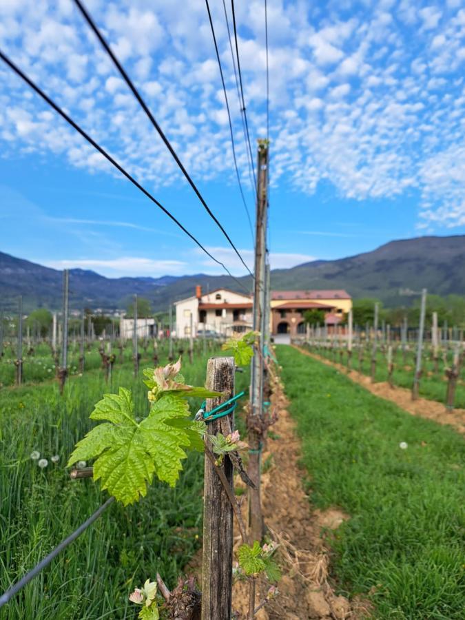 Posestvo Rouna - Winery And Apartments Vipava Eksteriør bilde