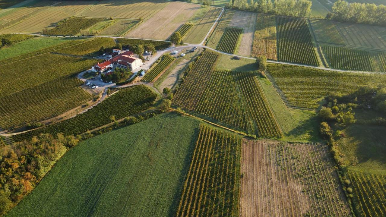 Posestvo Rouna - Winery And Apartments Vipava Eksteriør bilde